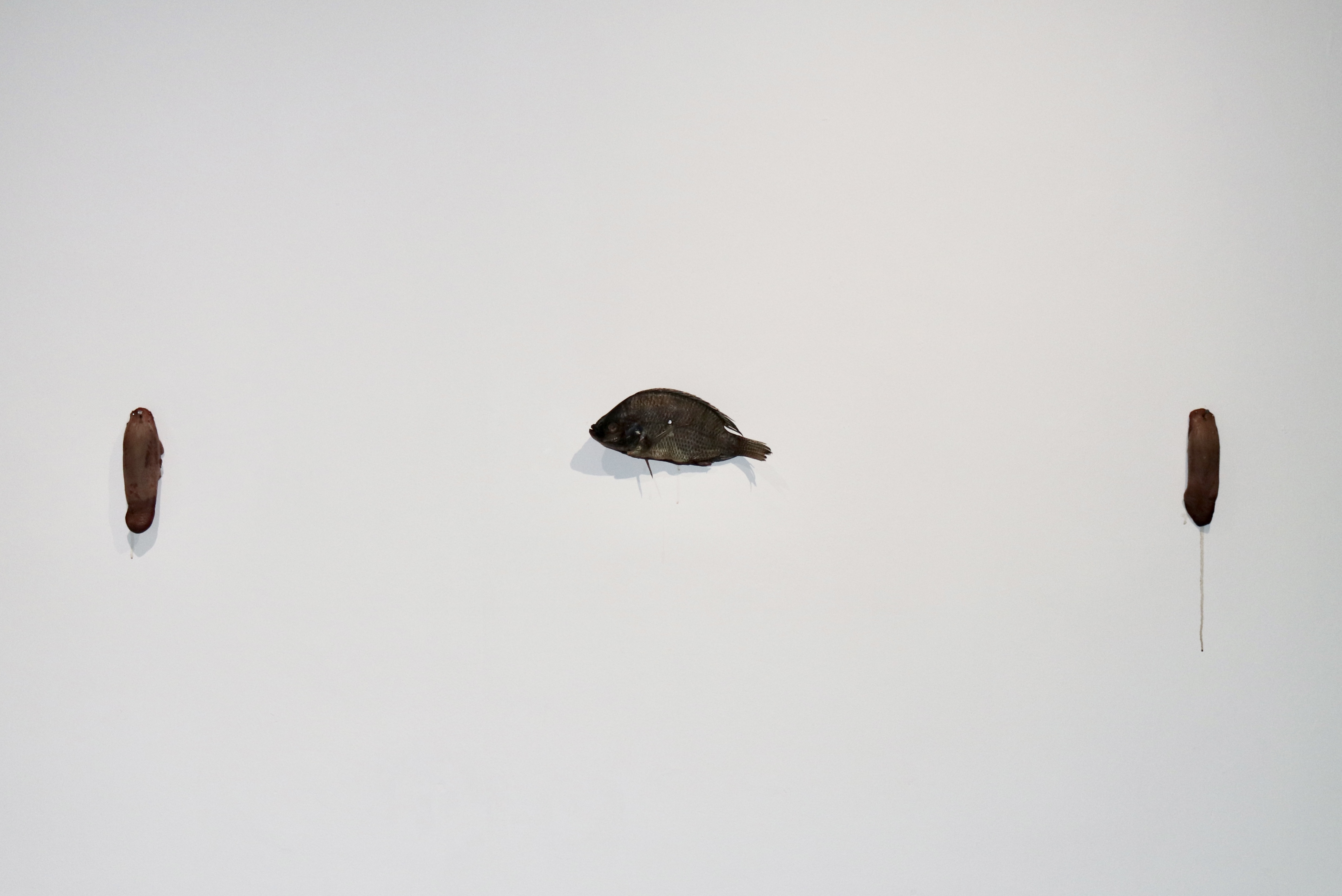 Sample 1
